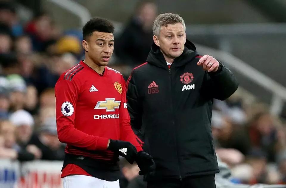 或许将成为 或许将成为